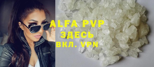 сатива Алзамай