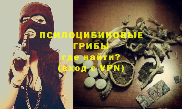 сатива Алзамай