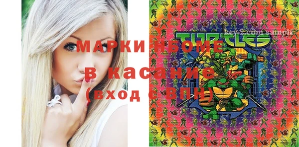 сатива Алзамай